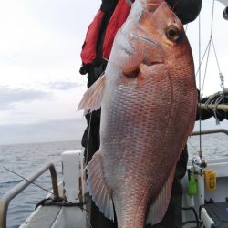 遊漁船 新鋭丸 釣果