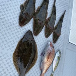 ミタチ丸 釣果