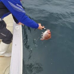 遊漁船 ニライカナイ 釣果