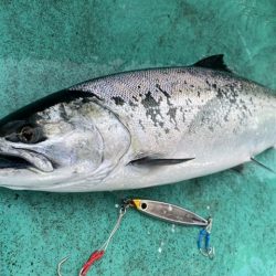 広進丸 釣果