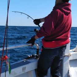 遊漁船 新鋭丸 釣果