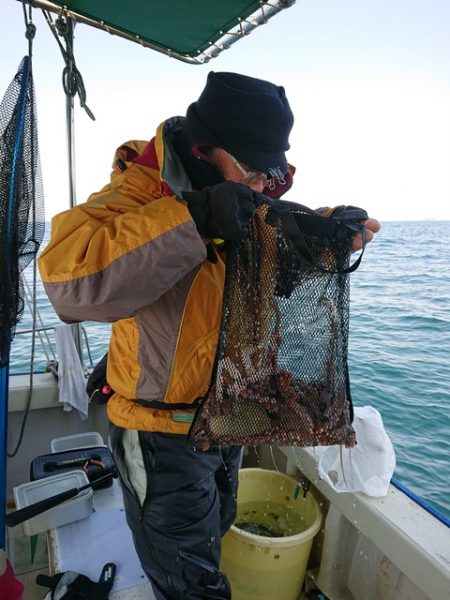 たかみ丸 釣果