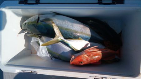 弘福丸 釣果