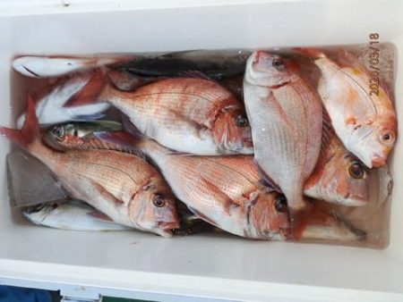 第二むつ漁丸 釣果