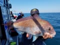 里輝丸 釣果