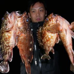 TOPGUN名古屋 釣果