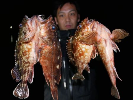 TOPGUN名古屋 釣果