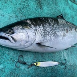 広進丸 釣果