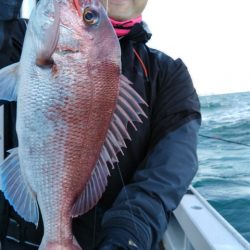 遊漁船 新鋭丸 釣果