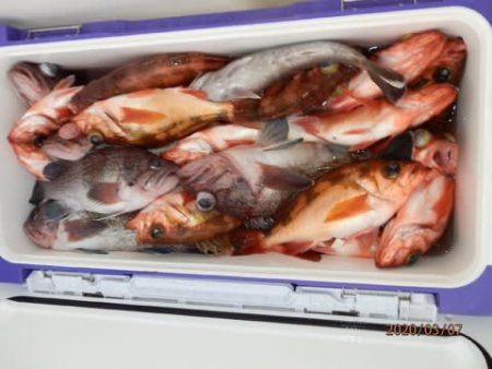 第二むつ漁丸 釣果