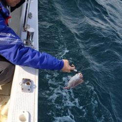 遊漁船 ニライカナイ 釣果