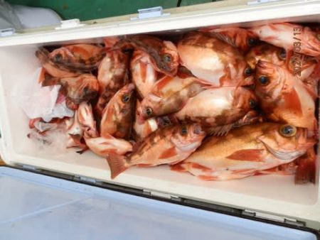 第二むつ漁丸 釣果