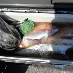 第二大福丸 釣果