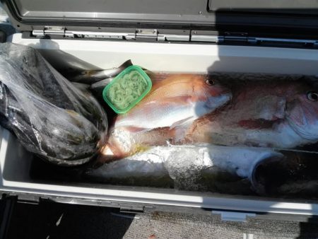 第二大福丸 釣果