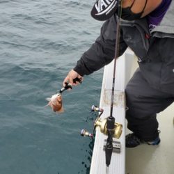 遊漁船 ニライカナイ 釣果