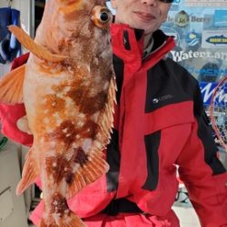 遊漁船　ニライカナイ 釣果