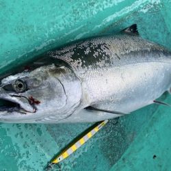 広進丸 釣果