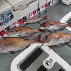 遊漁船 セトマリン 釣果