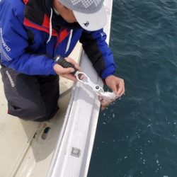 遊漁船 ニライカナイ 釣果