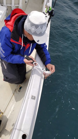 遊漁船 ニライカナイ 釣果