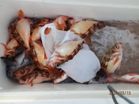 第二むつ漁丸 釣果