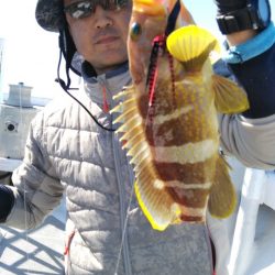 遊漁船 新鋭丸 釣果