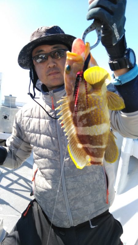 遊漁船 新鋭丸 釣果