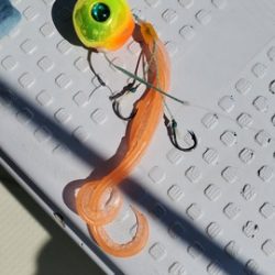 遊漁船 ニライカナイ 釣果