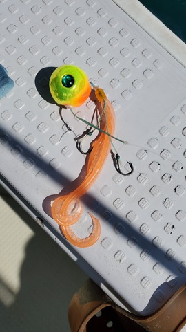 遊漁船 ニライカナイ 釣果