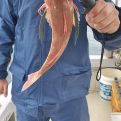 遊漁船 ニライカナイ 釣果