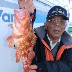 第二むつ漁丸 釣果