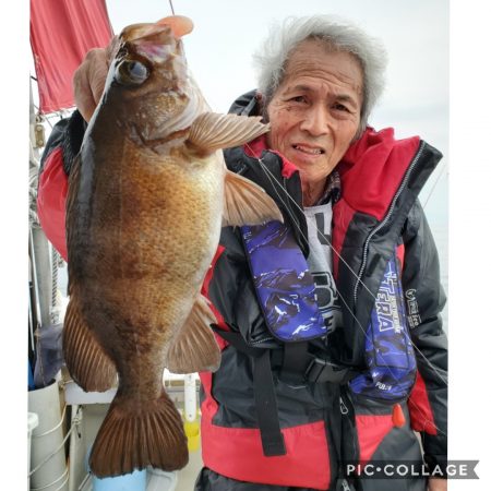 桑田観光 釣果