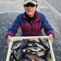 桑田観光 釣果