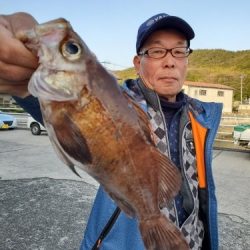 桑田観光 釣果