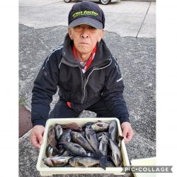 桑田観光 釣果