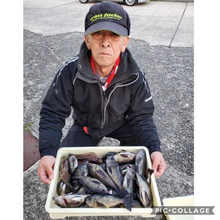 桑田観光 釣果