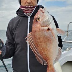 遊漁船 ニライカナイ 釣果