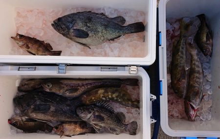 気仙沼　つり丸 釣果