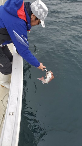 遊漁船 ニライカナイ 釣果