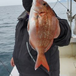 遊漁船 ニライカナイ 釣果