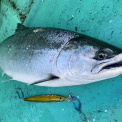 広進丸 釣果