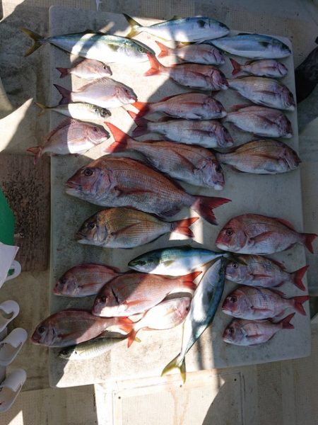 たかみ丸 釣果