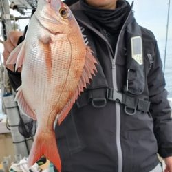 遊漁船 ニライカナイ 釣果