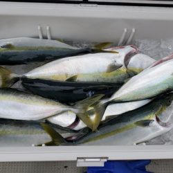 遊漁船 ニライカナイ 釣果