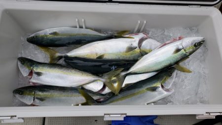 遊漁船 ニライカナイ 釣果