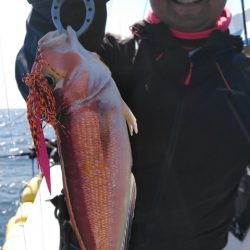 遊漁船 新鋭丸 釣果