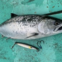 広進丸 釣果