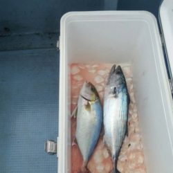 第五慶門丸 釣果