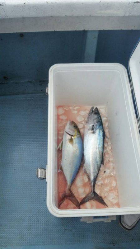 第五慶門丸 釣果