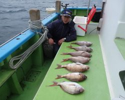 久里浜黒川本家 釣果